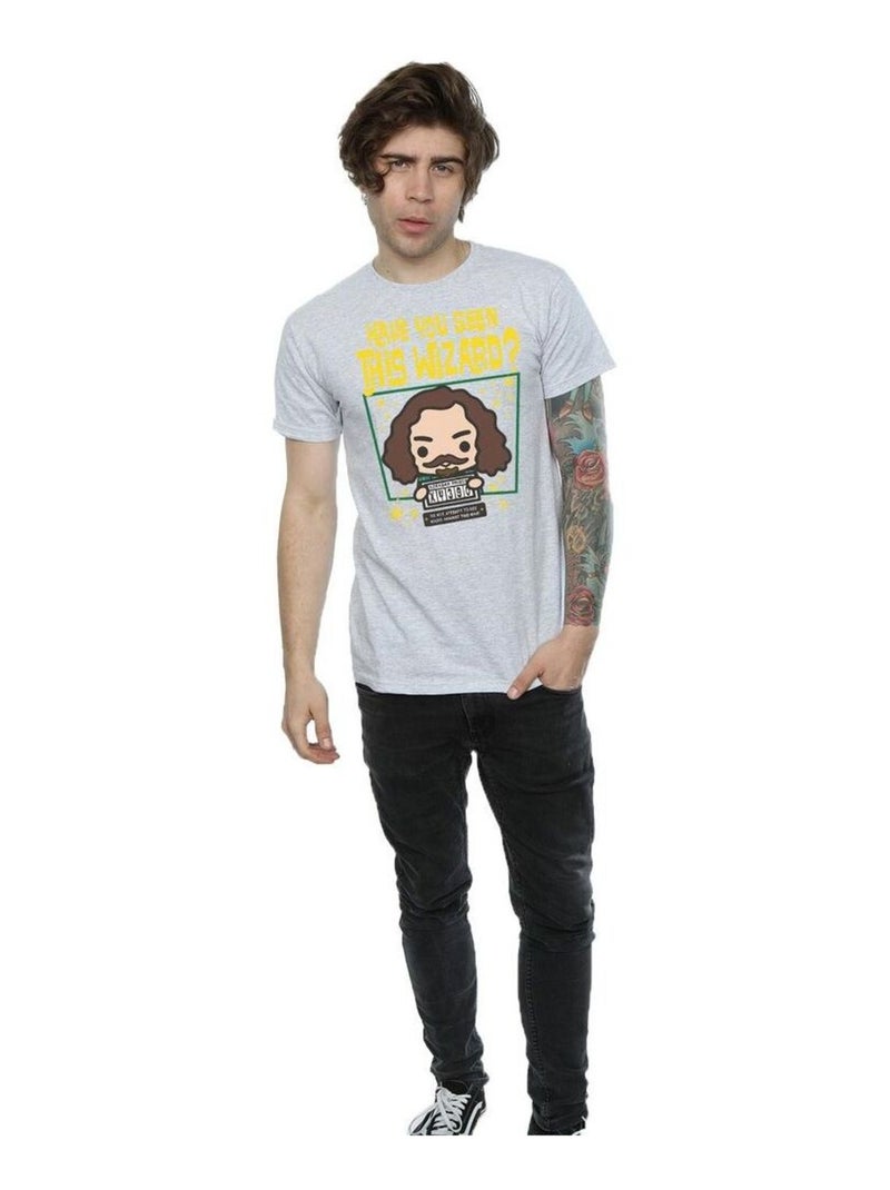 Harry Potter - T-shirt SIRIUS BLACK AZKABAN JUNIOR Gris chiné - Kiabi