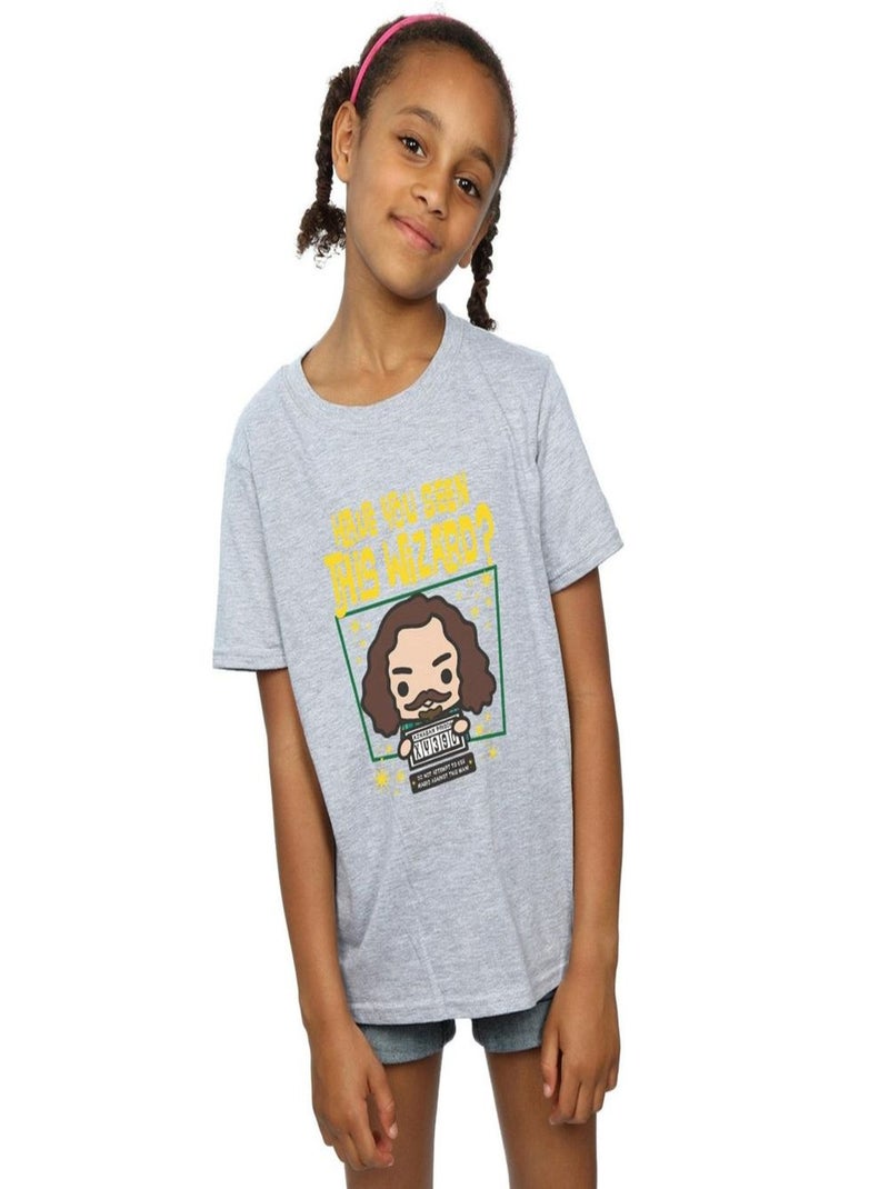 Harry Potter - T-shirt SIRIUS BLACK AZKABAN JUNIOR Gris chiné - Kiabi