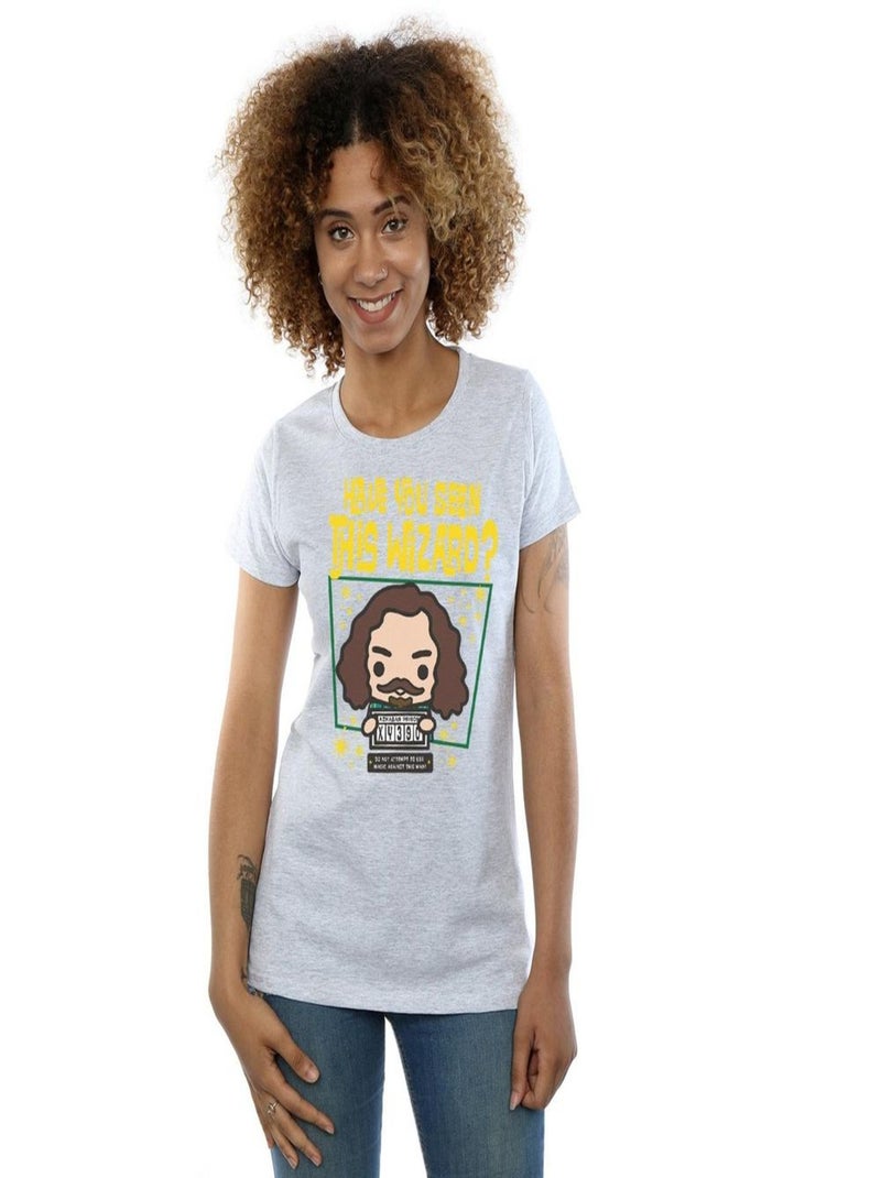 Harry Potter - T-shirt SIRIUS BLACK AZKABAN JUNIOR Gris chiné - Kiabi