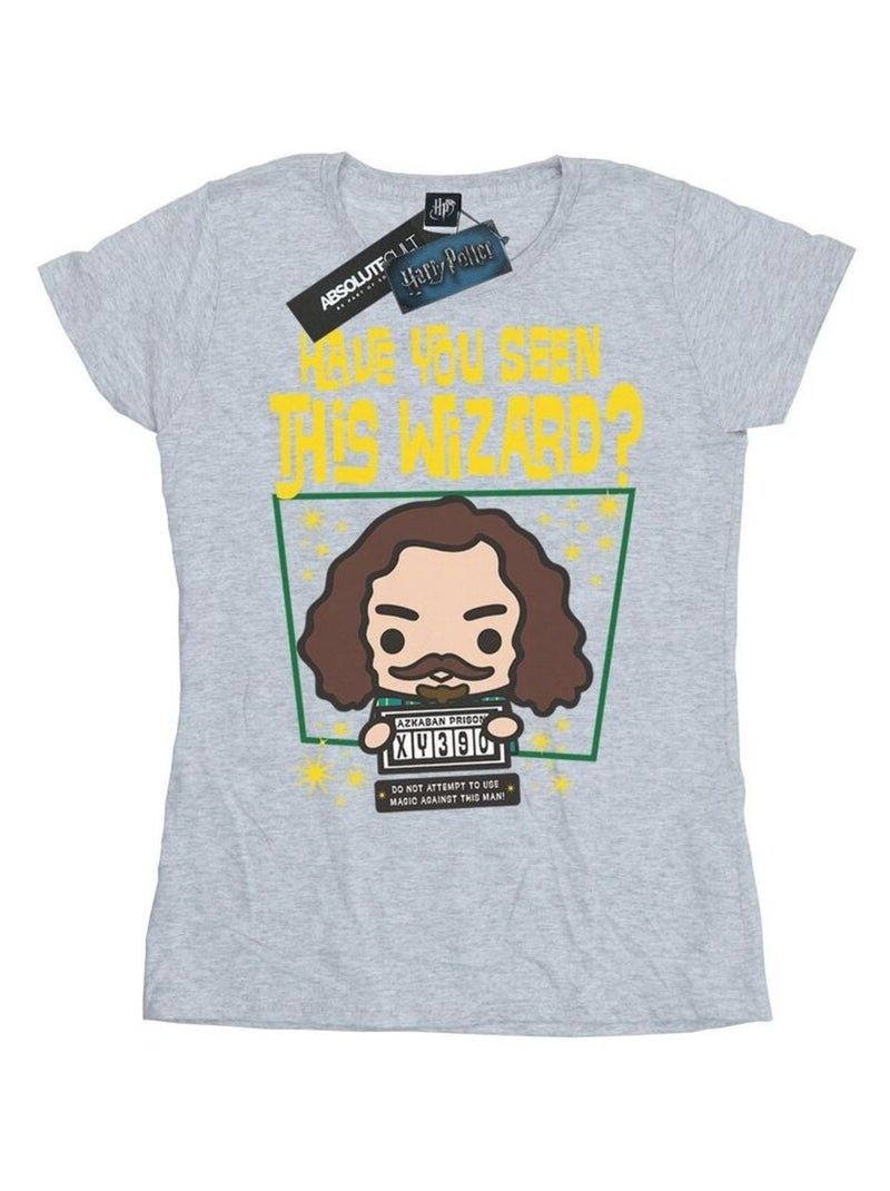 Harry Potter - T-shirt SIRIUS BLACK AZKABAN JUNIOR Gris chiné - Kiabi