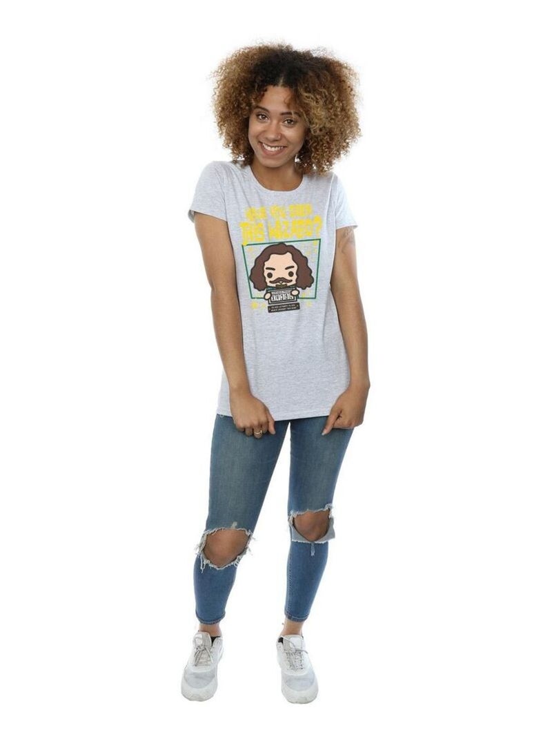 Harry Potter - T-shirt SIRIUS BLACK AZKABAN JUNIOR Gris chiné - Kiabi