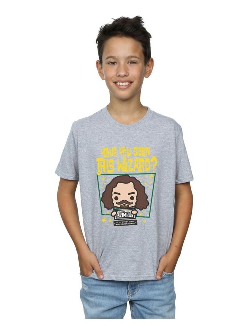 Harry Potter - T-shirt SIRIUS BLACK AZKABAN JUNIOR Gris chiné - Kiabi