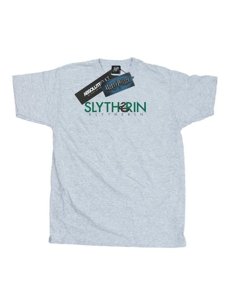 Harry Potter - T-shirt SLYTHERIN Gris chiné - Kiabi