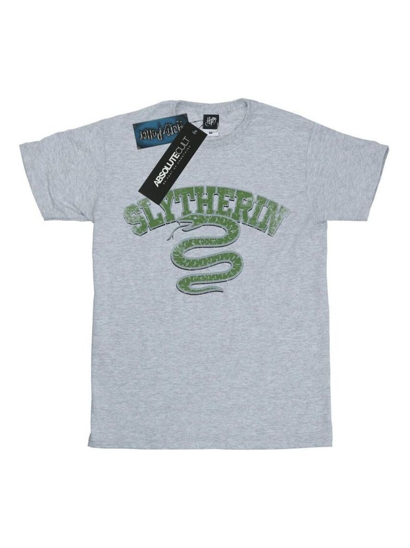 Harry Potter - T-shirt SLYTHERIN Gris chiné - Kiabi