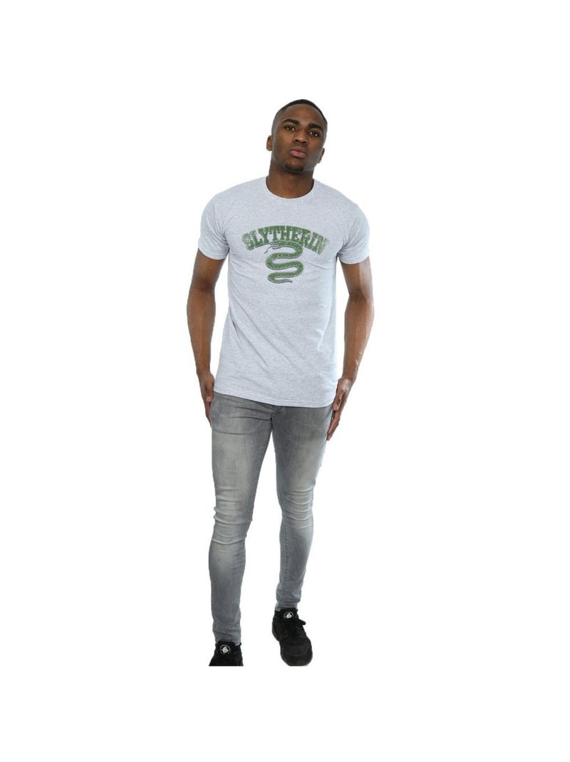 Harry Potter - T-shirt SLYTHERIN Gris chiné - Kiabi