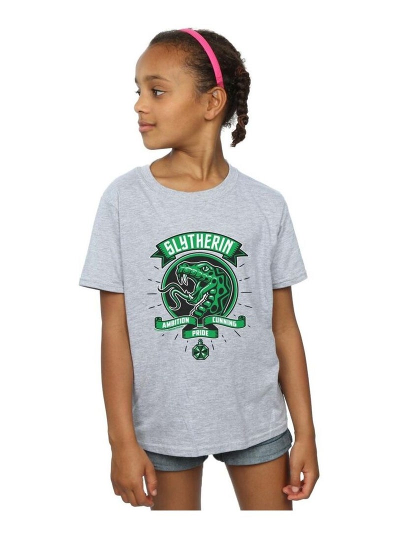 Harry Potter - T-shirt SLYTHERIN Gris chiné - Kiabi