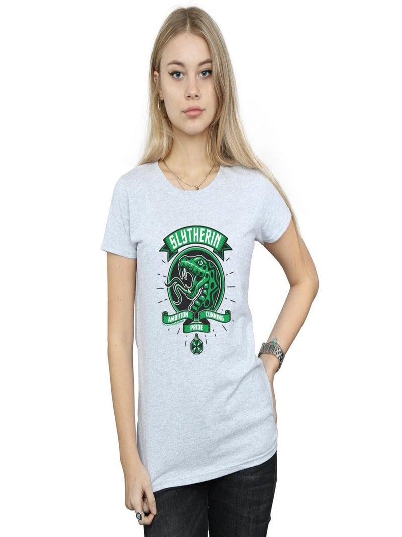 Harry Potter - T-shirt SLYTHERIN Gris chiné - Kiabi