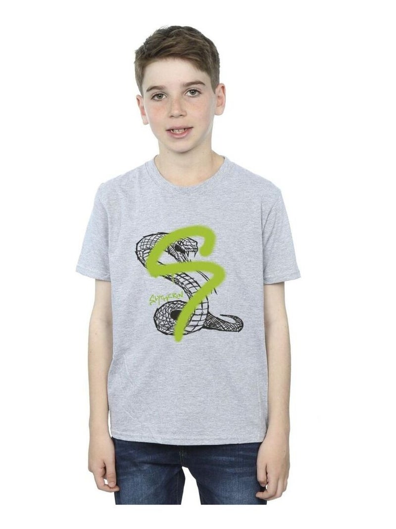 Harry Potter - T-shirt SLYTHERIN Gris chiné - Kiabi