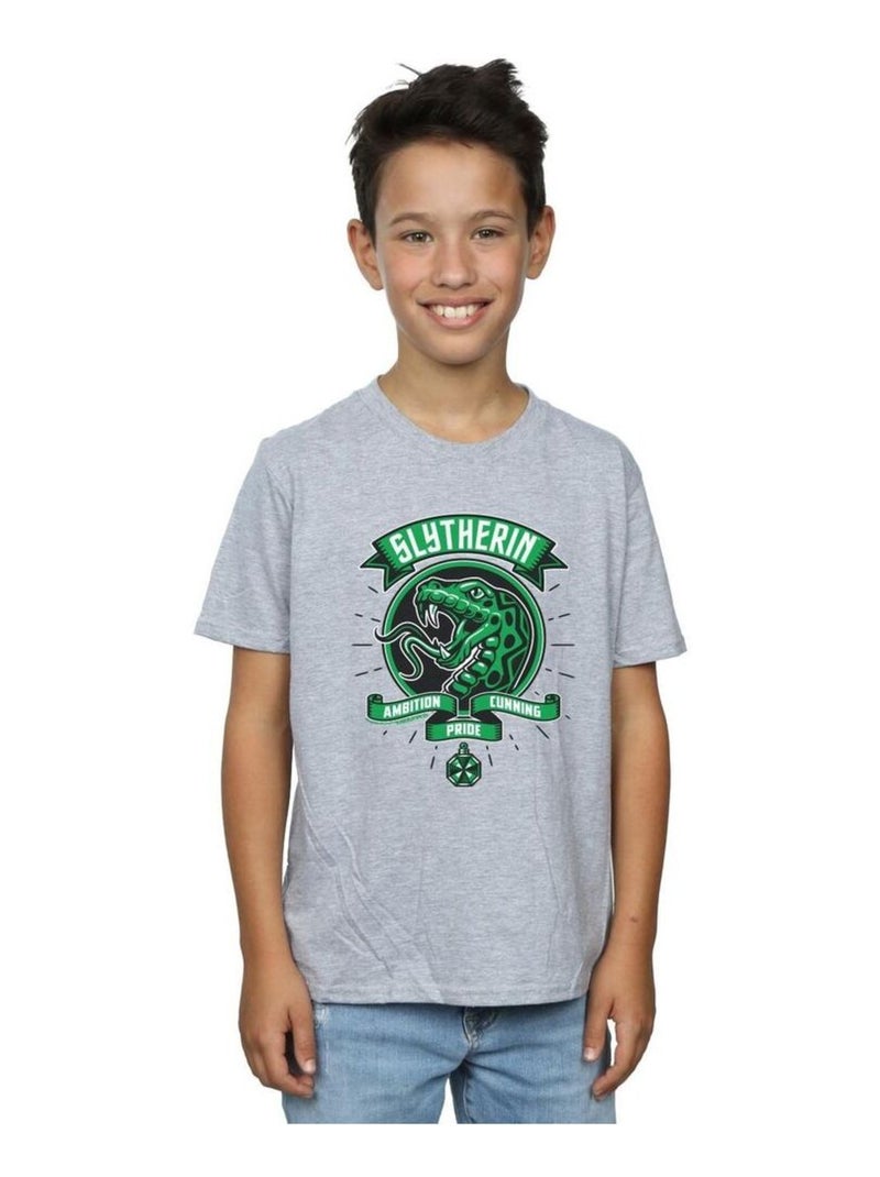 Harry Potter - T-shirt SLYTHERIN Gris chiné - Kiabi