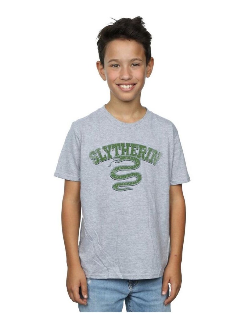 Harry Potter - T-shirt SLYTHERIN Gris chiné - Kiabi
