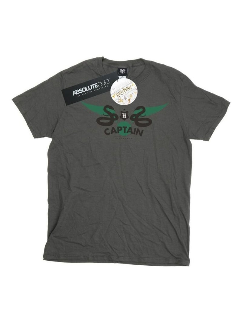Harry Potter - T-shirt SLYTHERIN Gris Noir - Kiabi