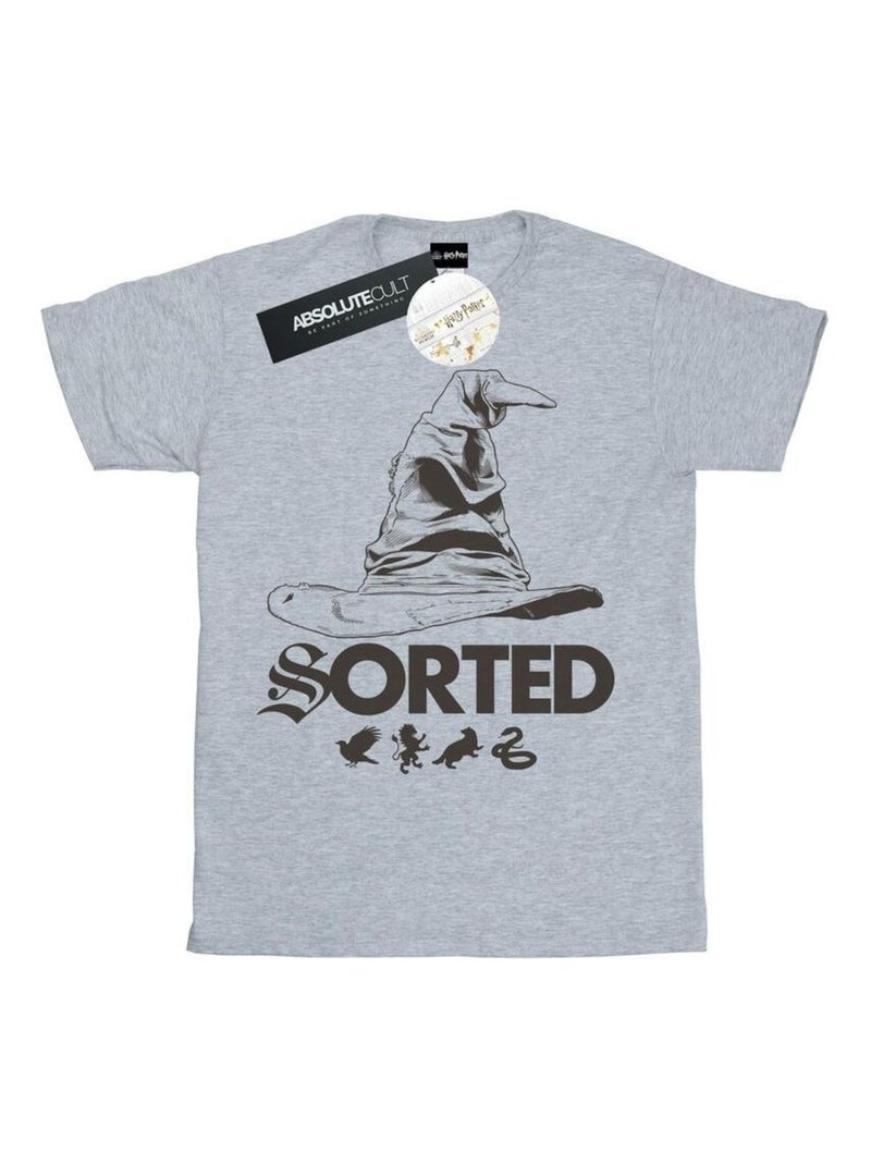 Harry Potter - T-shirt SORTING HAT Gris chiné - Kiabi