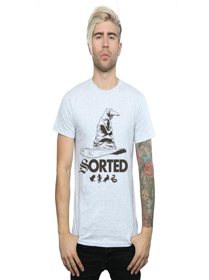 Harry Potter - T-shirt SORTING HAT Gris chiné - Kiabi