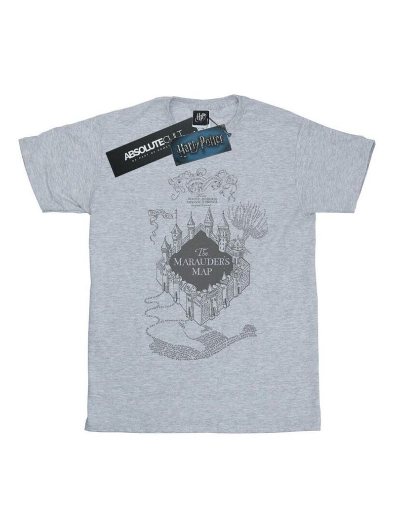 Harry Potter - T-shirt THE MARAUDER'S MAP Gris chiné - Kiabi