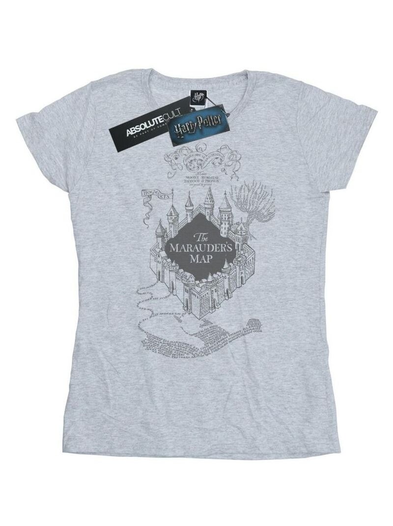 Harry Potter - T-shirt THE MARAUDER'S MAP Gris chiné - Kiabi