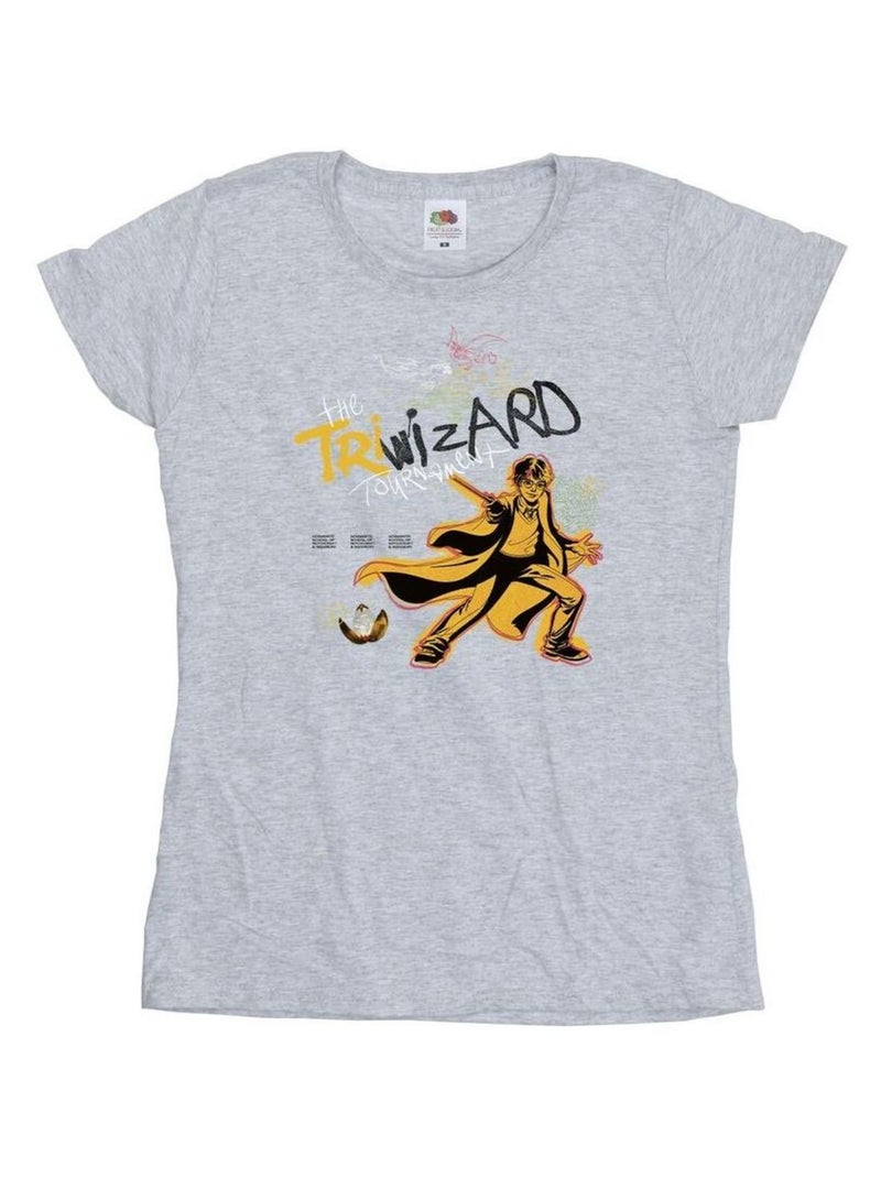 Harry Potter - T-shirt TRIWIZARD Gris chiné - Kiabi