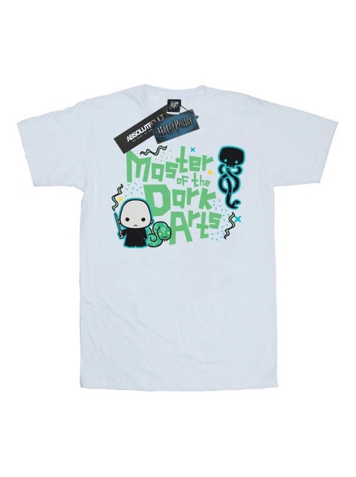 Harry Potter - T-shirt VOLDEMORT DARK ARTS JUNIOR - Kiabi