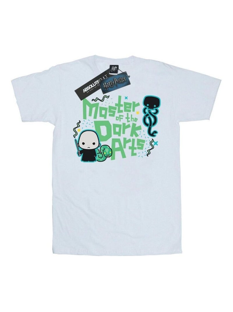 Harry Potter - T-shirt VOLDEMORT DARK ARTS JUNIOR Blanc - Kiabi