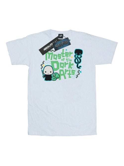 Harry Potter - T-shirt VOLDEMORT DARK ARTS JUNIOR - Kiabi