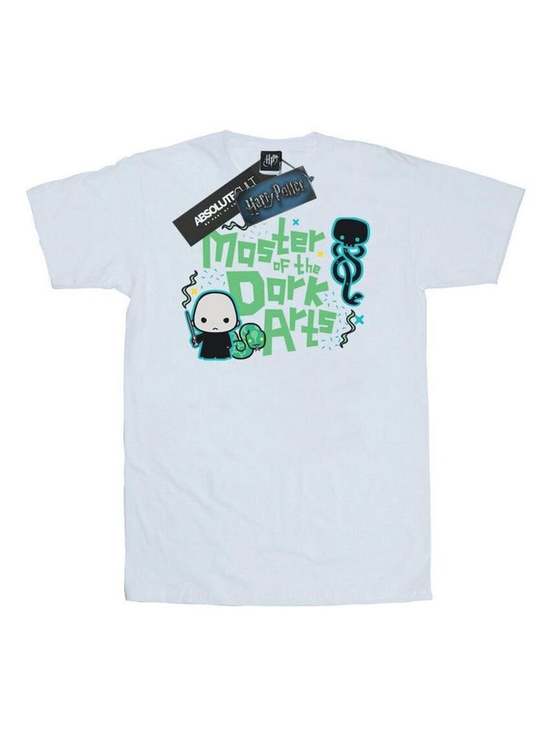 Harry Potter - T-shirt VOLDEMORT DARK ARTS JUNIOR Blanc - Kiabi
