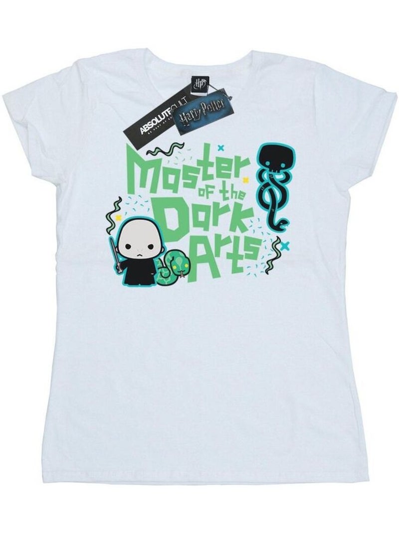Harry Potter - T-shirt VOLDEMORT DARK ARTS JUNIOR Blanc - Kiabi