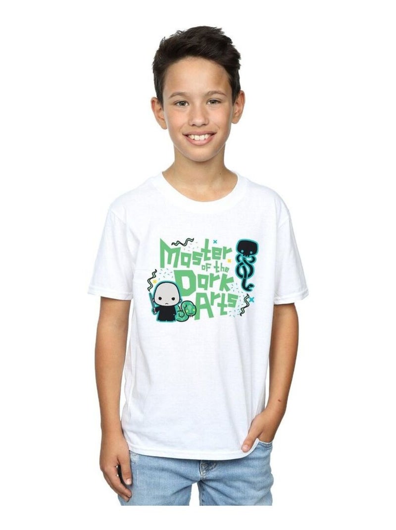 Harry Potter - T-shirt VOLDEMORT DARK ARTS JUNIOR Blanc - Kiabi