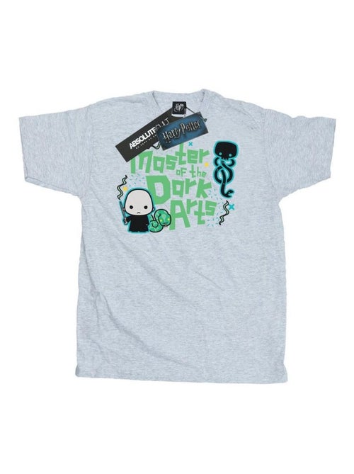 Harry Potter - T-shirt VOLDEMORT DARK ARTS JUNIOR - Kiabi Harry Potter - T-shirt VOLDEMORT DARK ARTS JUNIOR - Kiabi