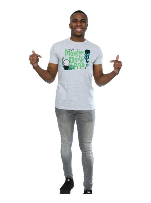 Harry Potter - T-shirt VOLDEMORT DARK ARTS JUNIOR - Kiabi Harry Potter - T-shirt VOLDEMORT DARK ARTS JUNIOR - Kiabi