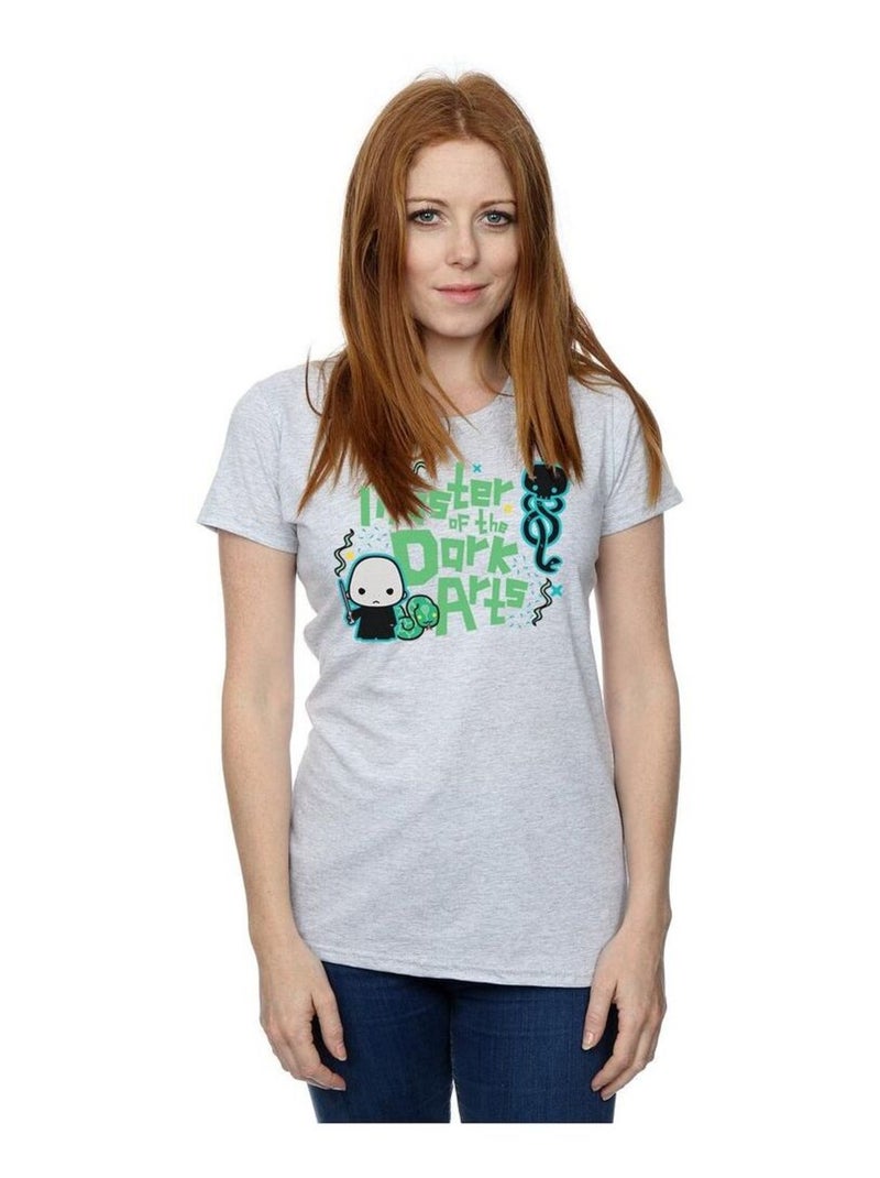 Harry Potter - T-shirt VOLDEMORT DARK ARTS JUNIOR Gris chiné - Kiabi