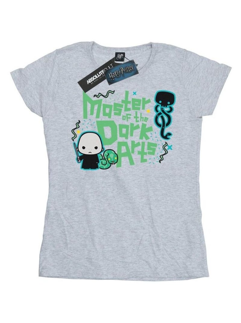 Harry Potter - T-shirt VOLDEMORT DARK ARTS JUNIOR Gris chiné - Kiabi