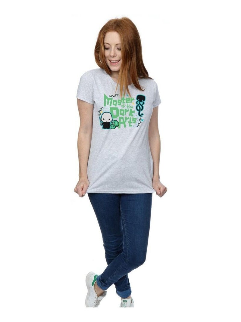 Harry Potter - T-shirt VOLDEMORT DARK ARTS JUNIOR Gris chiné - Kiabi