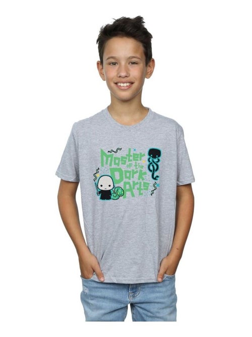 Harry Potter - T-shirt VOLDEMORT DARK ARTS JUNIOR - Kiabi