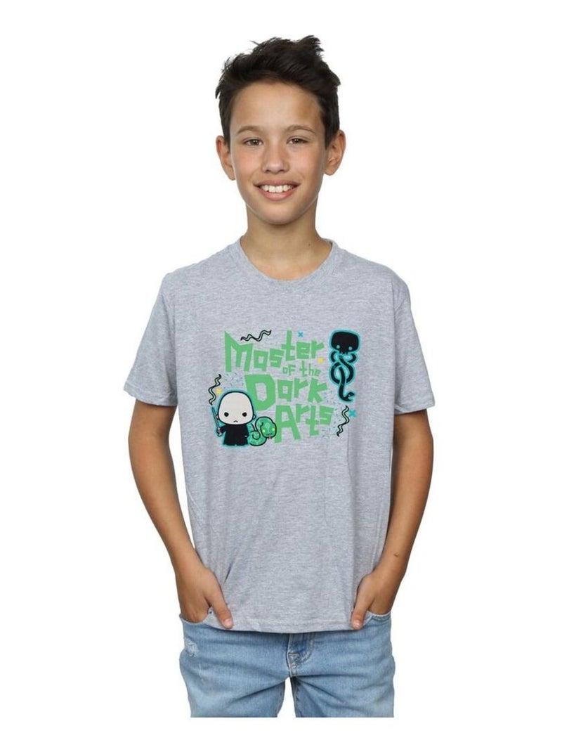 Harry Potter - T-shirt VOLDEMORT DARK ARTS JUNIOR Gris chiné - Kiabi