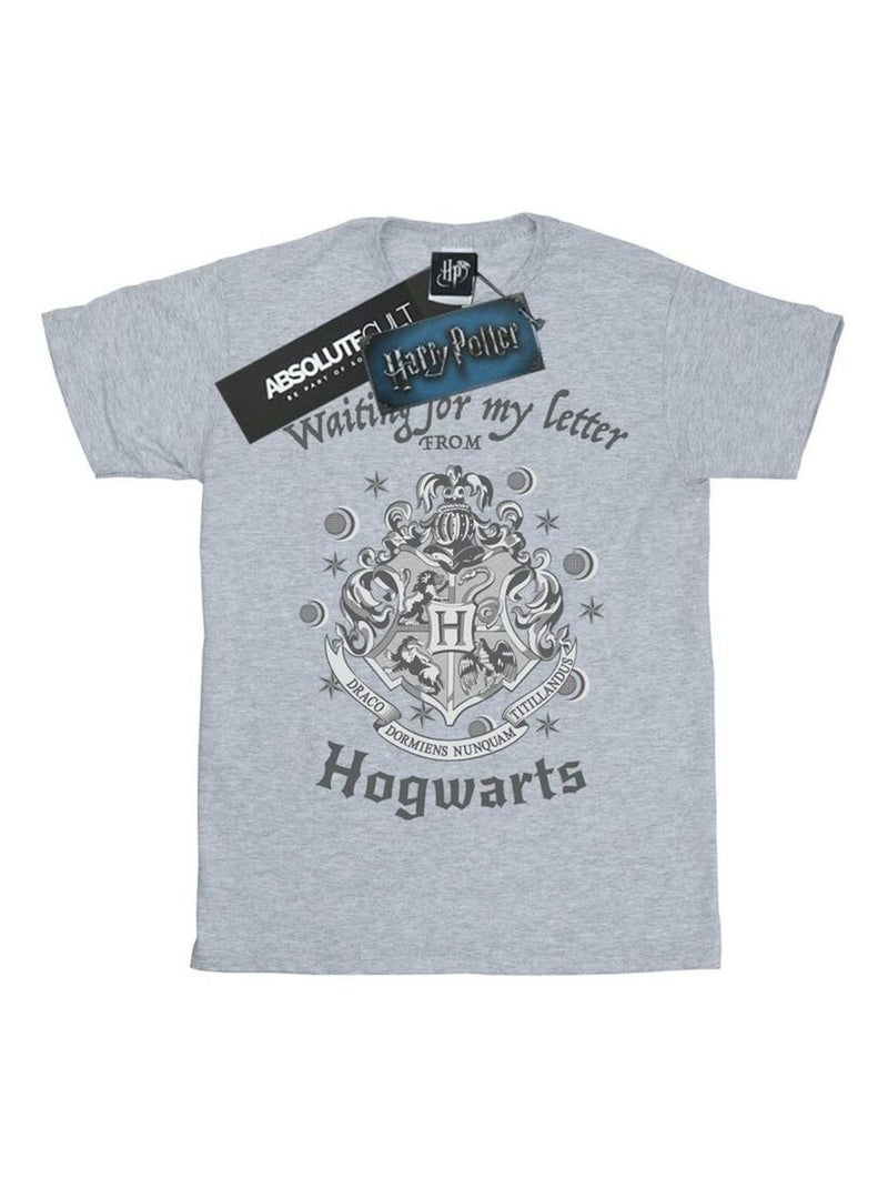 Harry Potter - T-shirt WAITING FOR MY LETTER Gris chiné - Kiabi