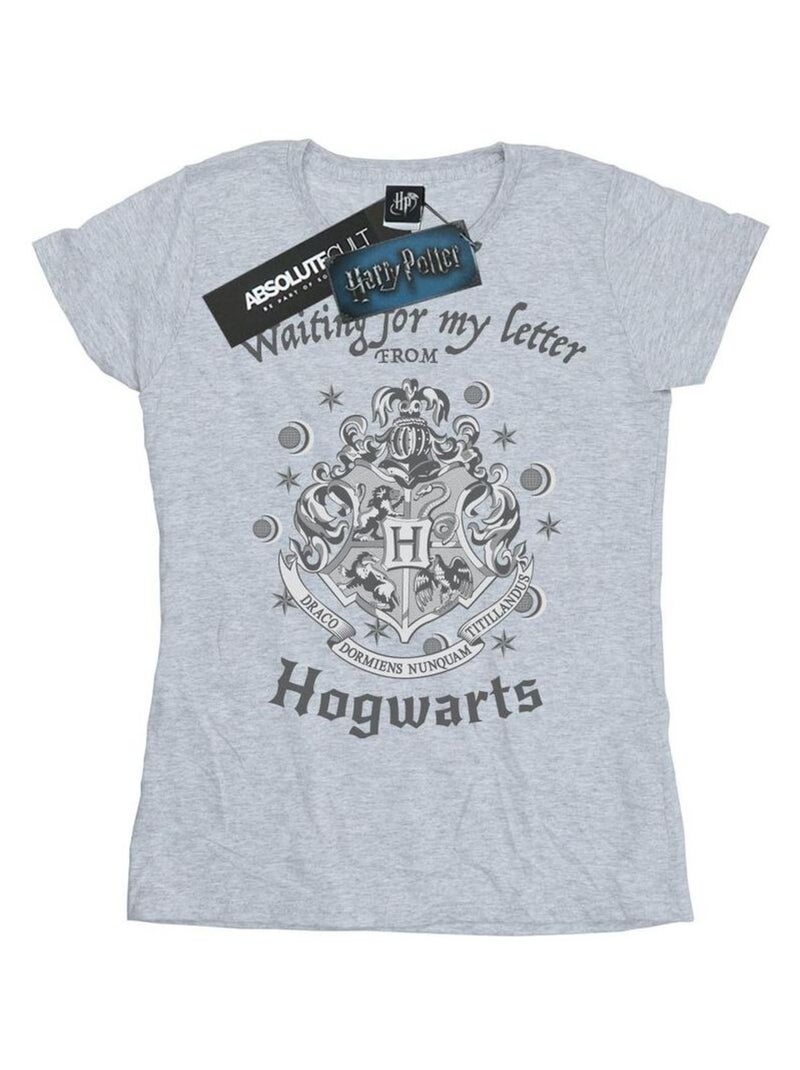 Harry Potter - T-shirt WAITING FOR MY LETTER Gris chiné - Kiabi