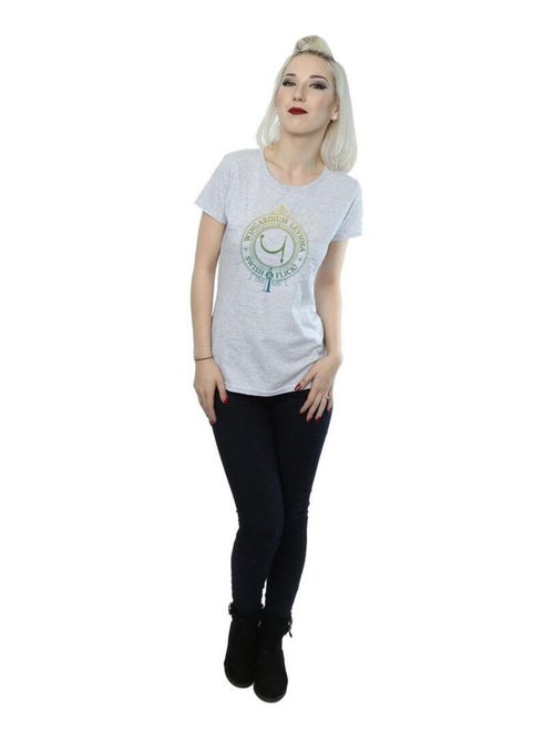 Harry Potter - T-shirt WINGARDIUM LEVIOSA - Kiabi Harry Potter - T-shirt WINGARDIUM LEVIOSA - Kiabi