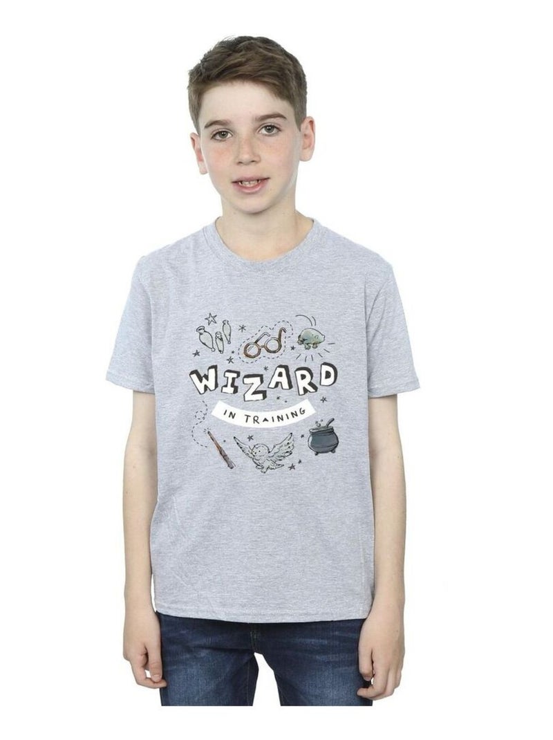 Harry Potter - T-shirt WIZARD IN TRAINING Gris chiné - Kiabi