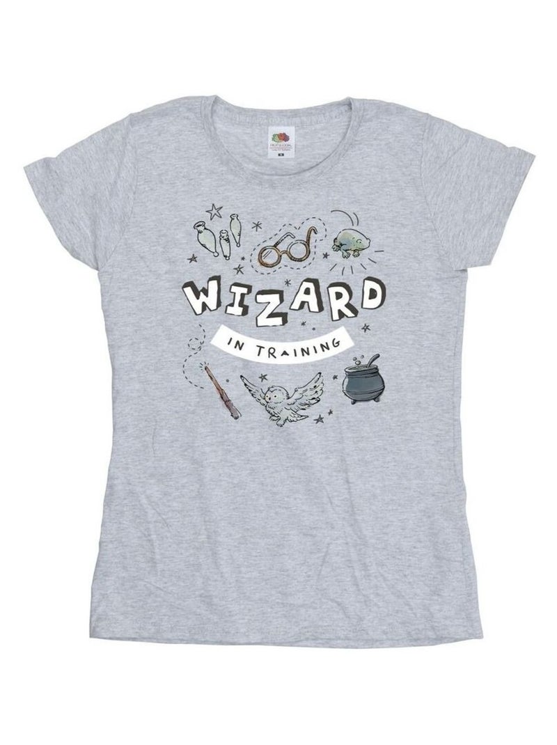 Harry Potter - T-shirt WIZARD IN TRAINING Gris chiné - Kiabi