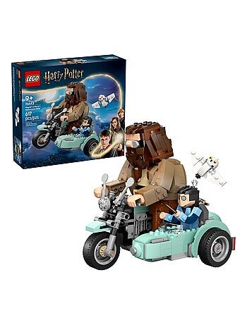 Harry Potter La balade en moto de Hagrid™ et Harry