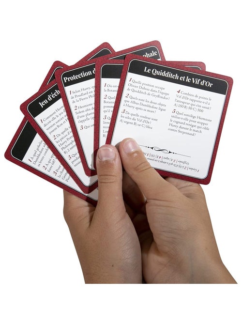 Harry Potter Quiz 500 - Kiabi