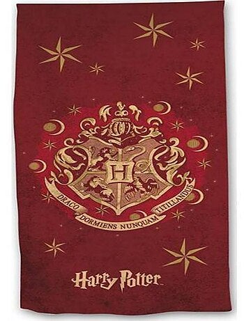 Harry Potter, Serviette de Bain Enfant Imprimée 100% Coton, POUDLARD