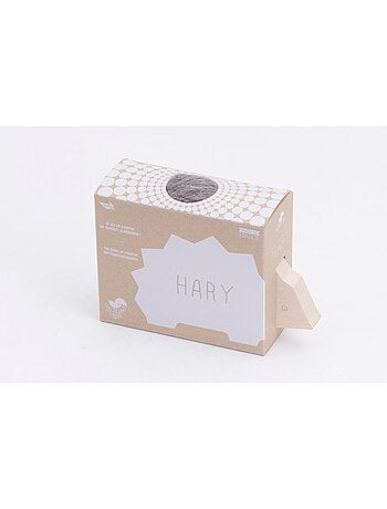 Hary le hérisson gris