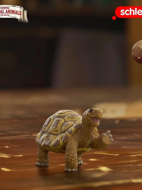 Henrietta la tortue - Kiabi