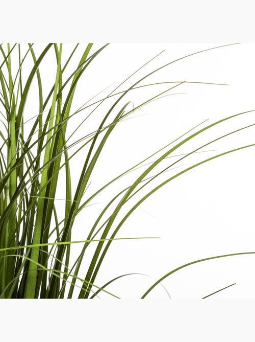 Herbe artificielle AKINA - Kiabi