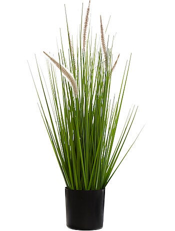 Herbe artificielle cat tails