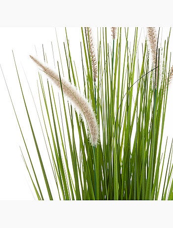 Herbe artificielle cat tails
