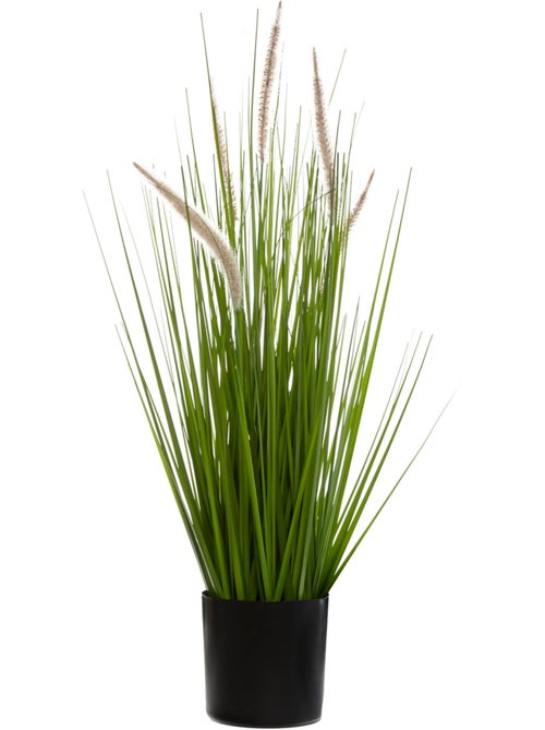 Herbe artificielle CAT TAILS - Kiabi