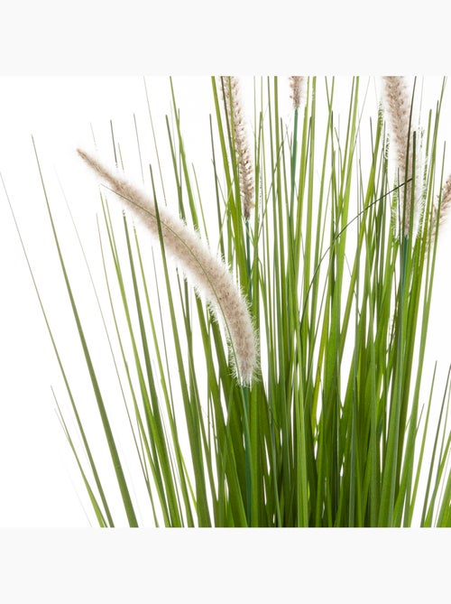 Herbe artificielle CAT TAILS - Kiabi