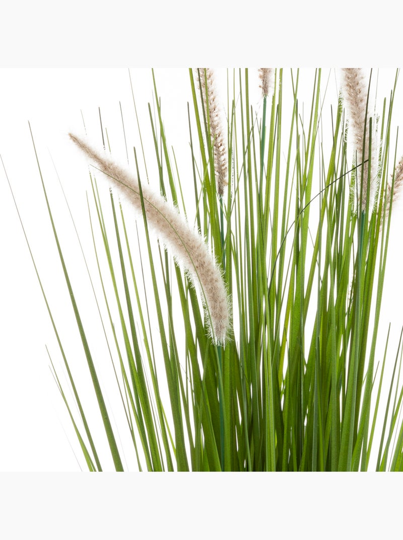 Herbe artificielle CAT TAILS Vert - Kiabi