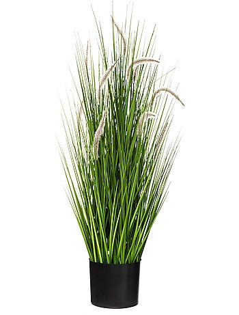 Herbe artificielle en pot aux queues de chat